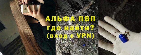 Альфа ПВП Новозыбков