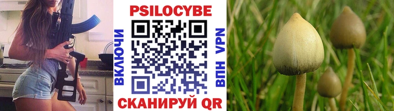 omg зеркало  Курильск  Галлюциногенные грибы Psilocybine cubensis  где продают  