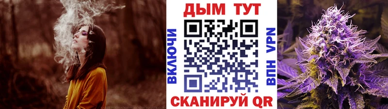 Канабис гибрид  Курильск 
